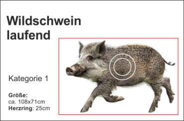 Wildschwein laufend